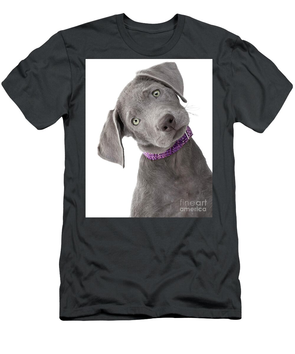 Dog T-Shirt featuring the photograph Silver Lab Puppy Joy by Renee Spade Photography