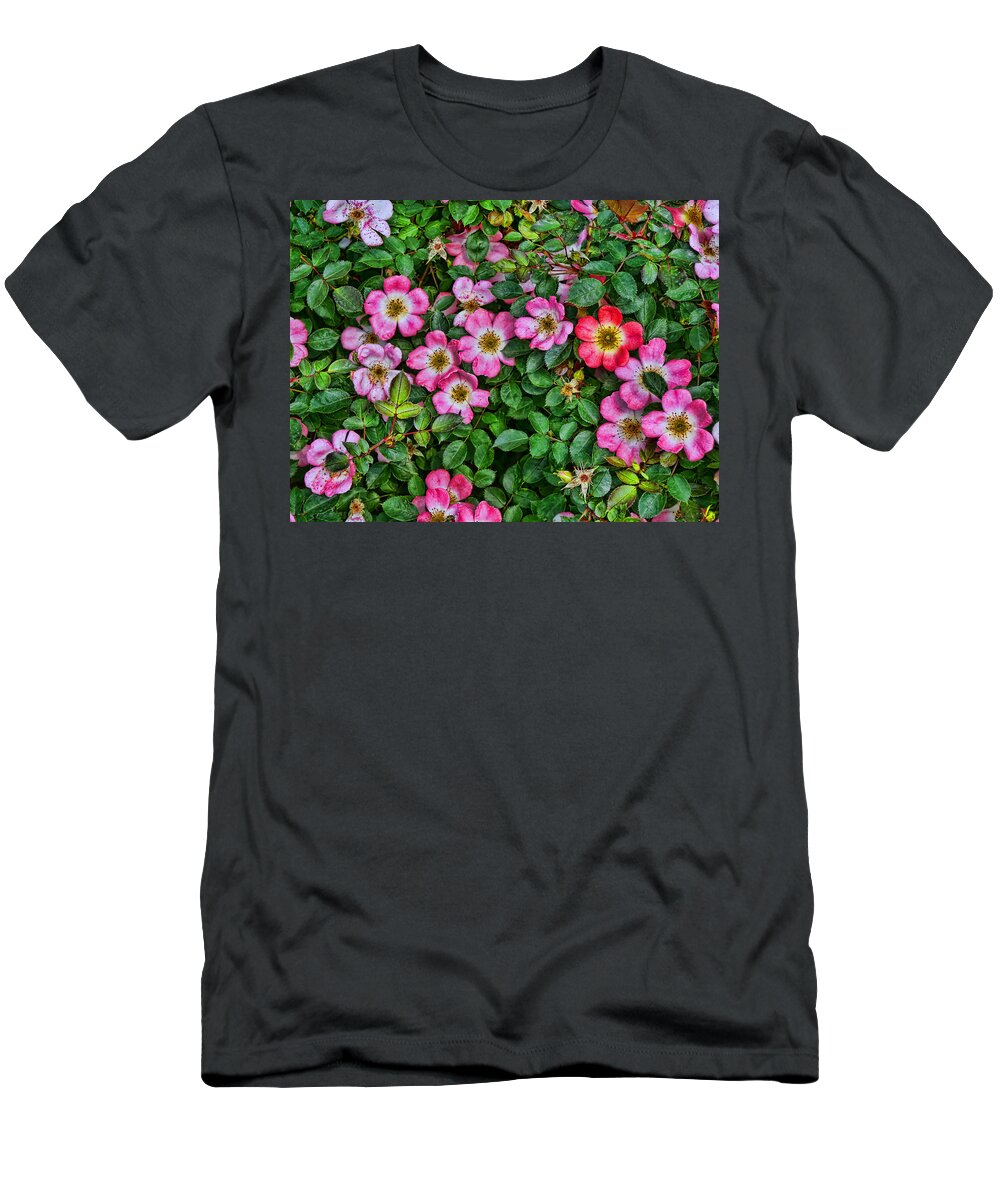Simply Sally T-Shirt featuring the photograph Simply Sally Minature Rose Bush by Allen Beatty