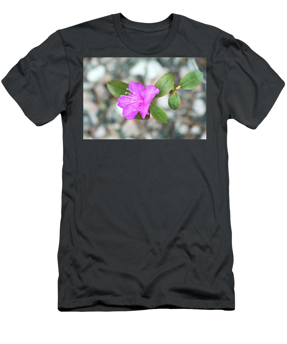 Single Bloom Flower T-Shirt featuring the photograph Single Bloom Purple Rhododendron Blossom by Gwen Gibson