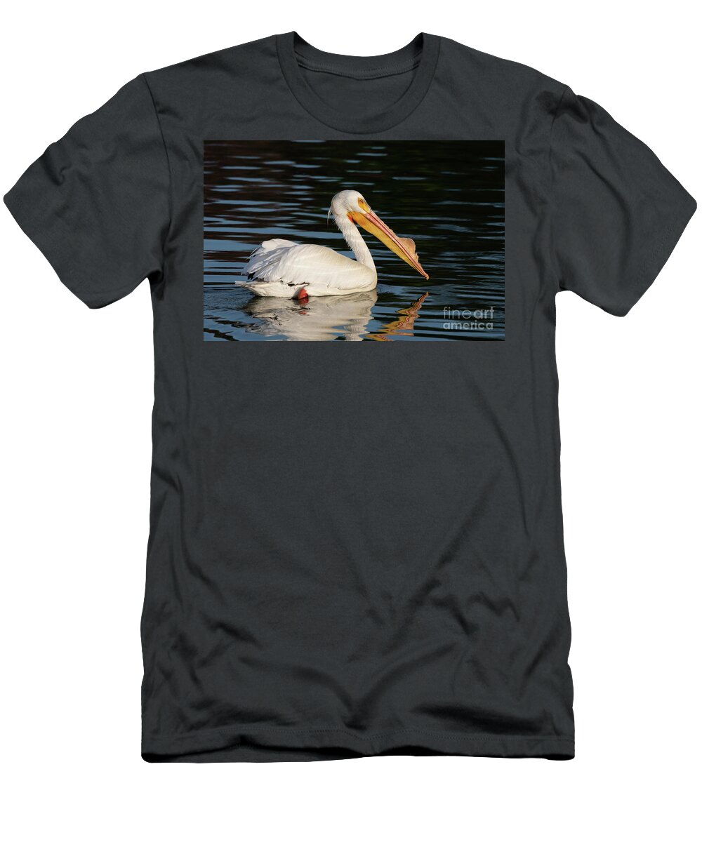 Bird T-Shirt featuring the photograph Single Pelican #1 by Daniel Ryan