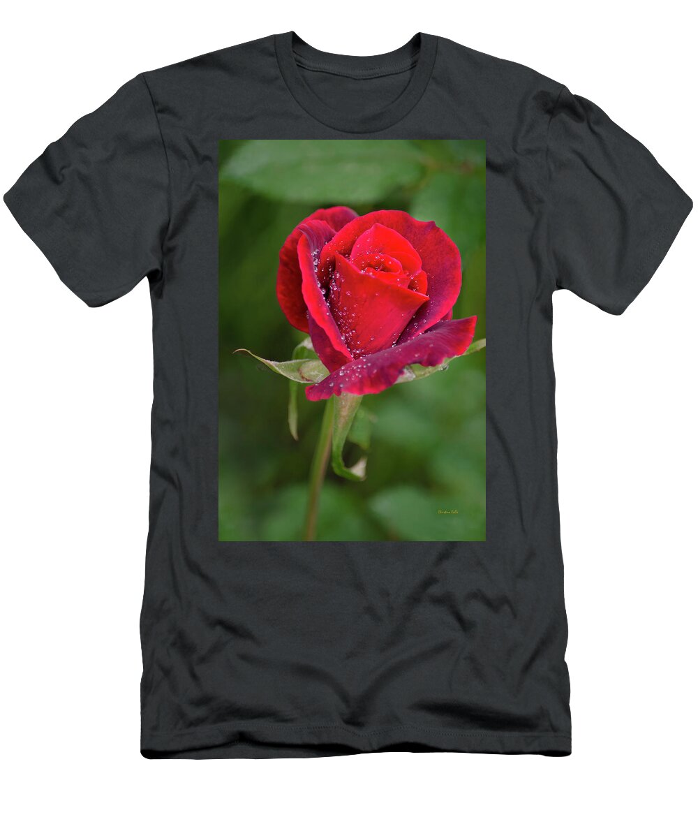 Red Rose T-Shirt featuring the photograph Single Red Rose by Christina Rollo