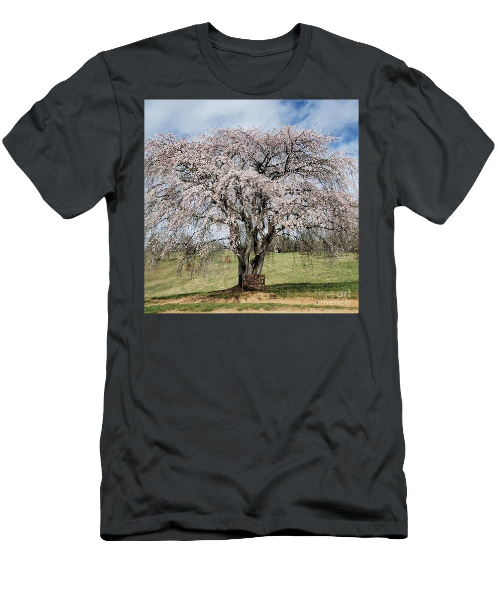 Spring T-Shirt featuring the photograph Sitting under the Cherry Tree by Anita Adams