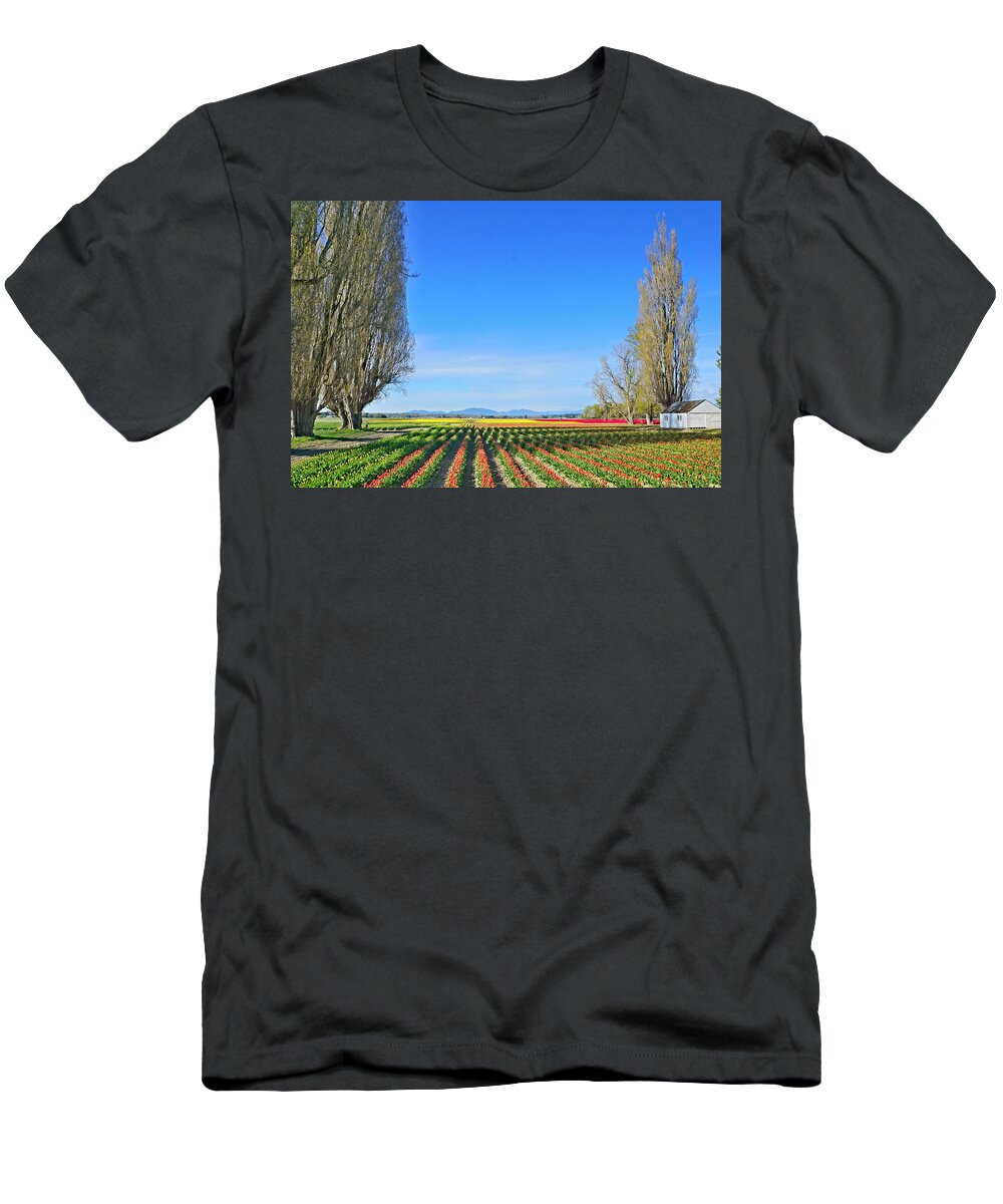Landscape T-Shirt featuring the photograph Skagit Valley Tulip Fields by Bill TALICH
