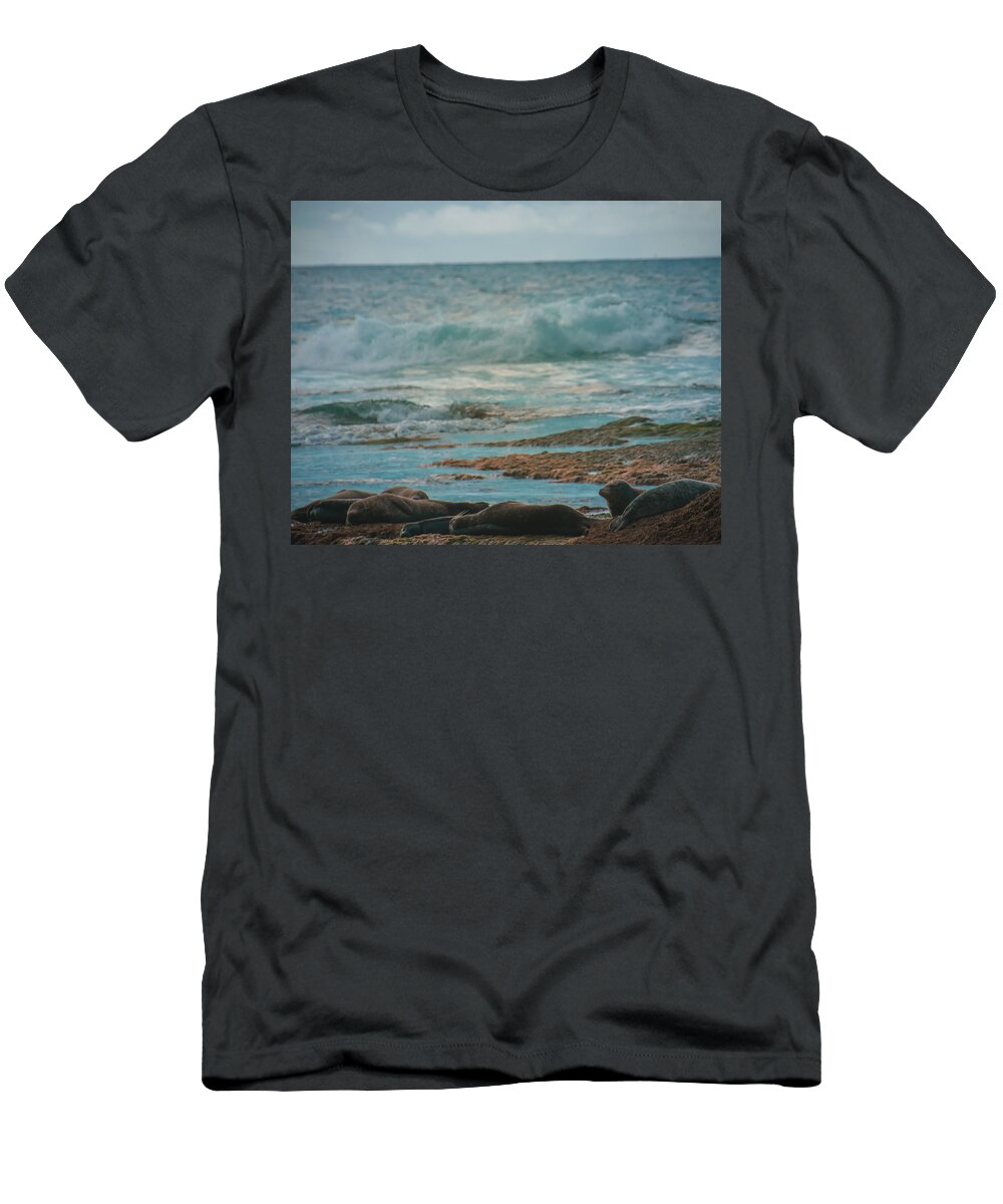 Sleeping Seals T-Shirt featuring the photograph Sleeping Seals by Christina McGoran