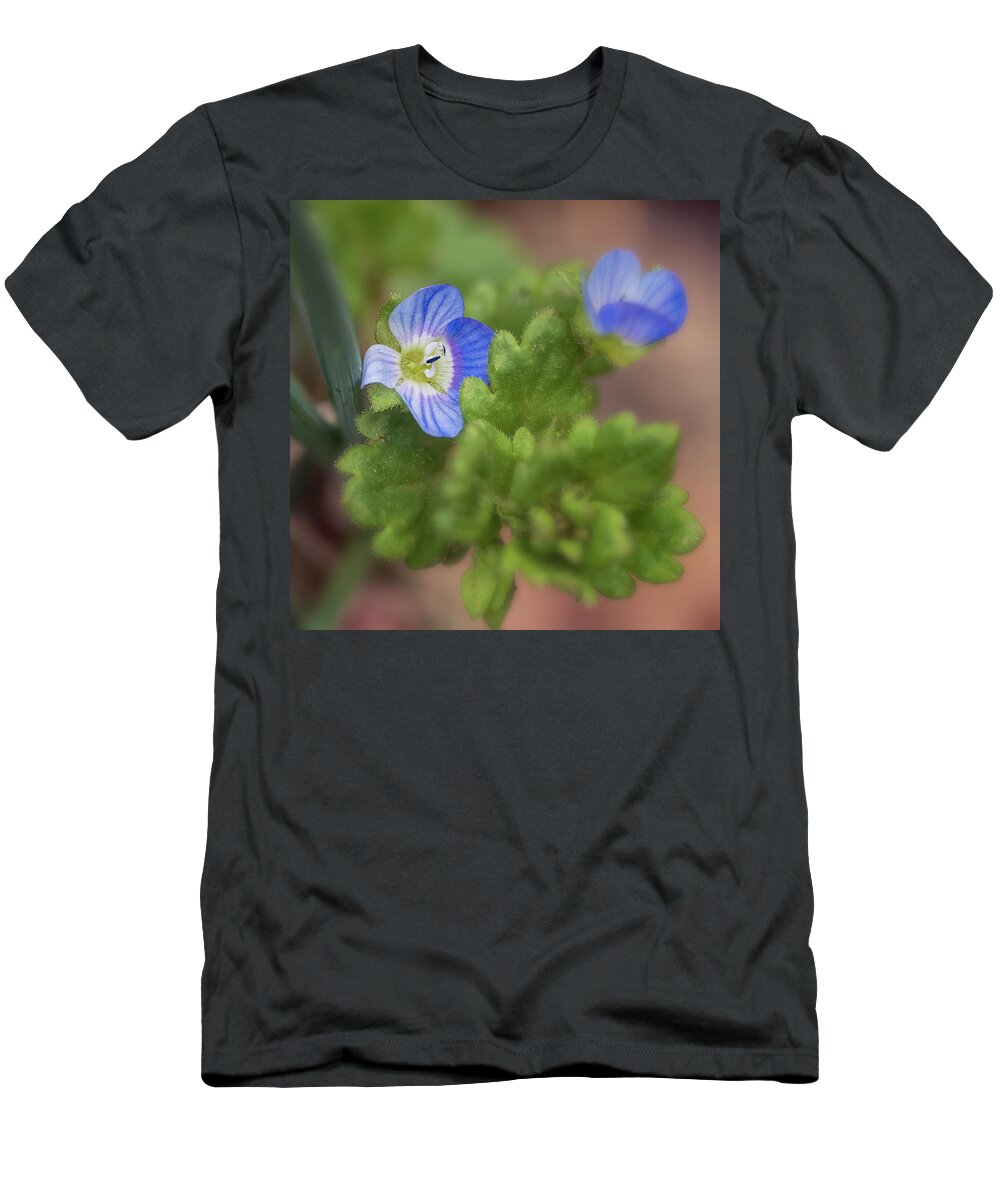 Maryland T-Shirt featuring the photograph Small Sign of Spring by Robert Fawcett