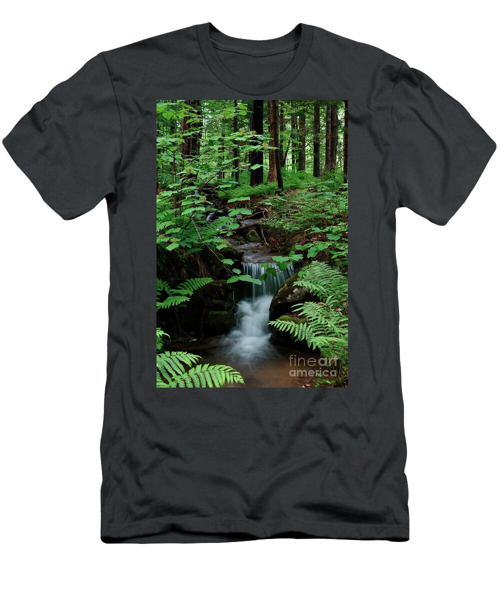 Spring T-Shirt featuring the photograph Small stream and ferns by Kevin Shields