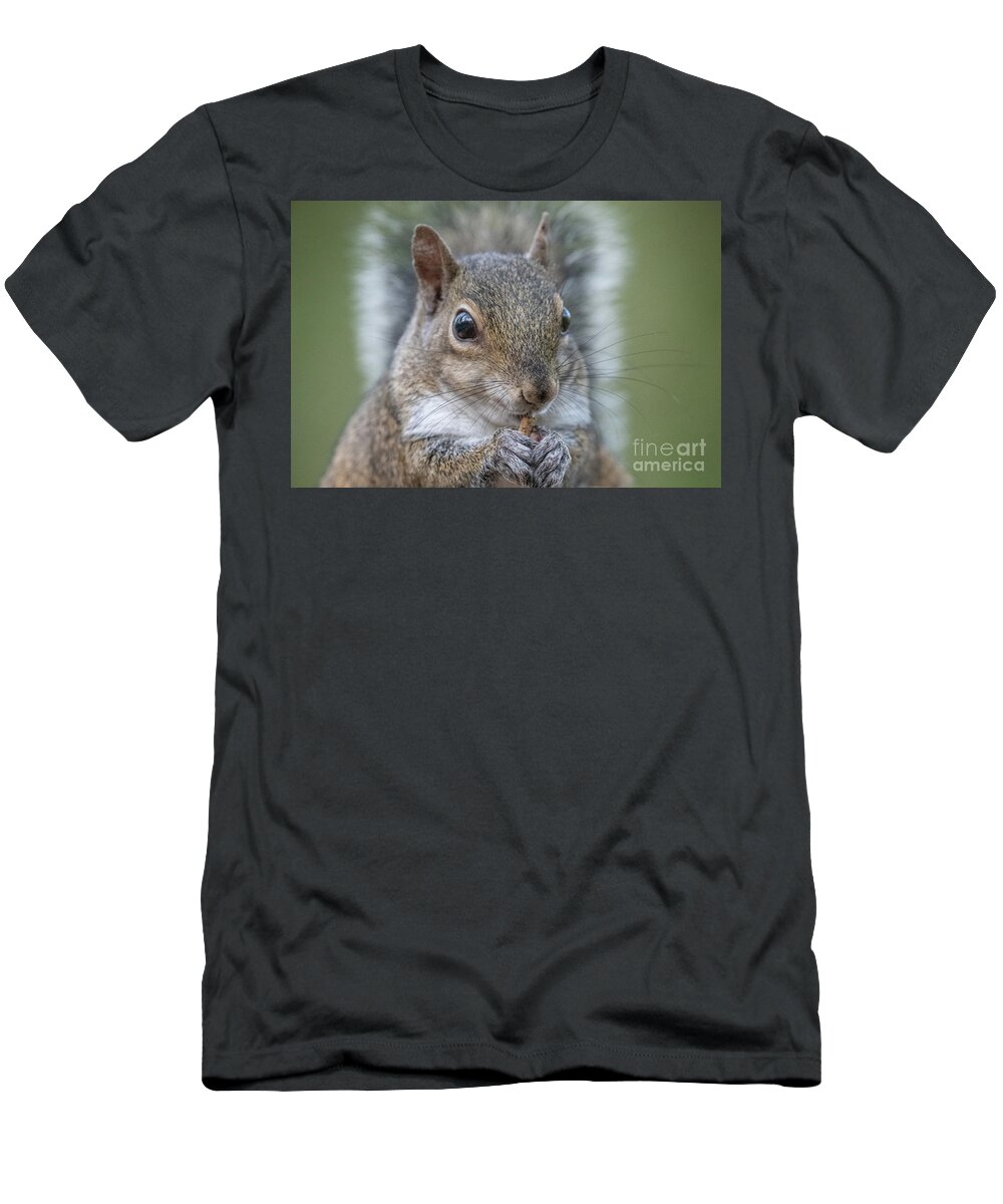 Eastern Gray Squirrel T-Shirt featuring the photograph Snack by John Hartung  ArtThatSmiles com