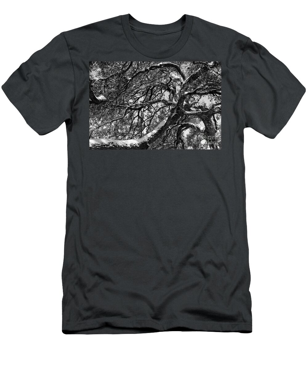 Georgetown T-Shirt featuring the photograph Snow Covered Great Oak 2 by Bob Phillips
