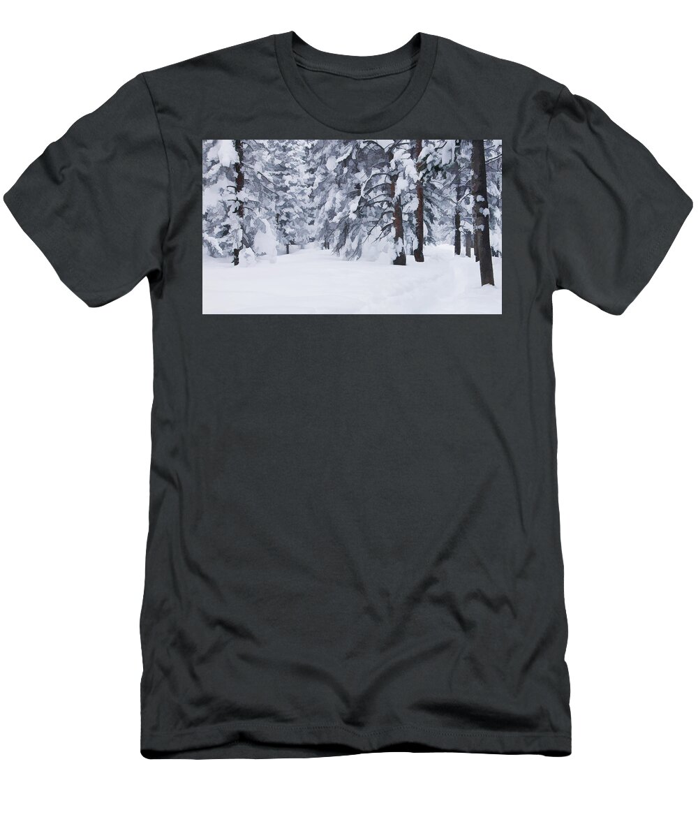 Beauty T-Shirt featuring the photograph Snow-dappled Woods by Don Schwartz