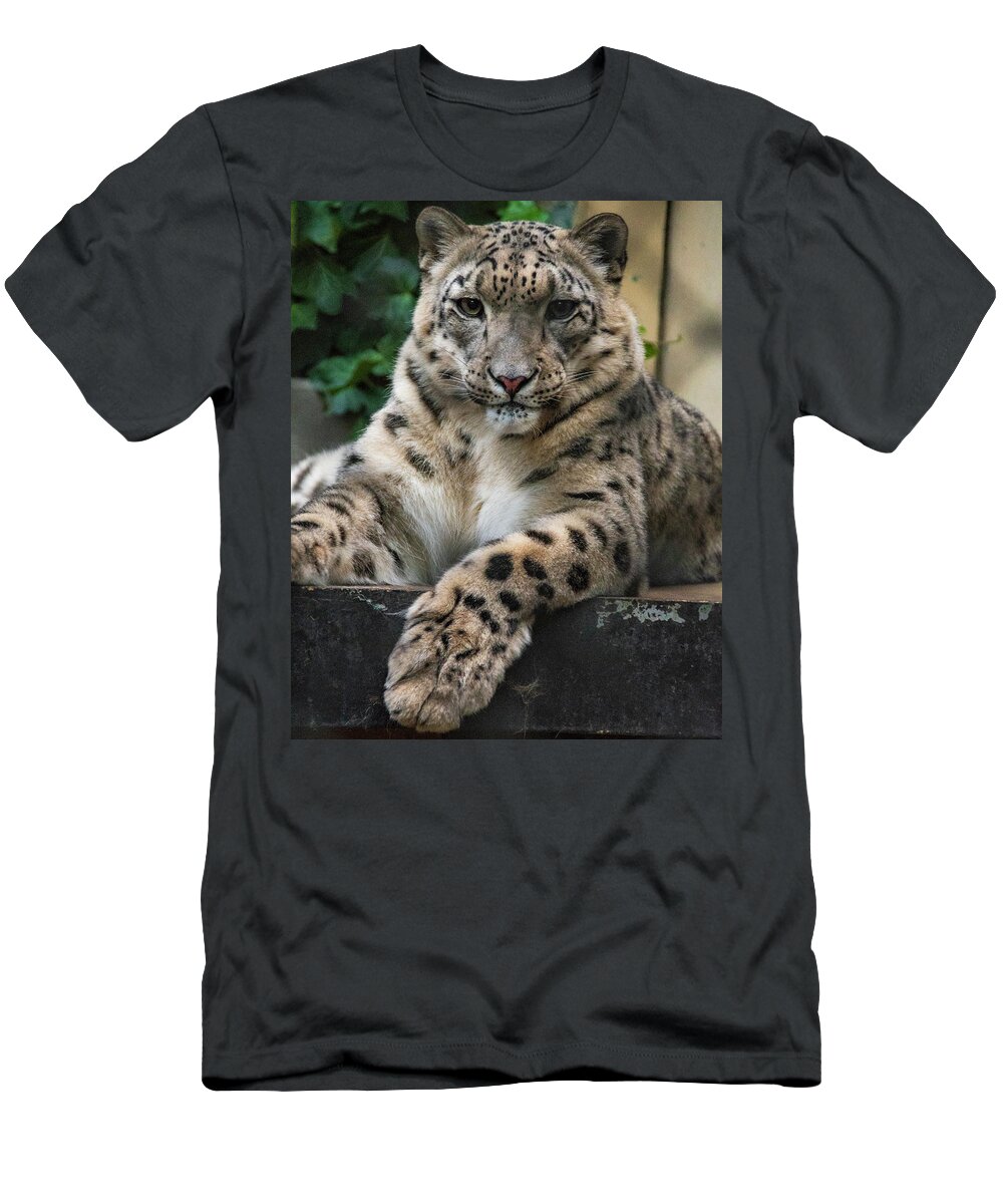 Zoo Boise T-Shirt featuring the photograph Snow Leopard 2 by Melissa Southern