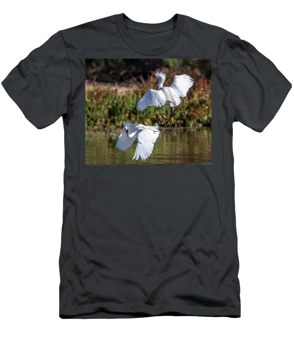 Snowy Egrets T-Shirt featuring the photograph Snowy Egrets 7002-052721-2 by Tam Ryan