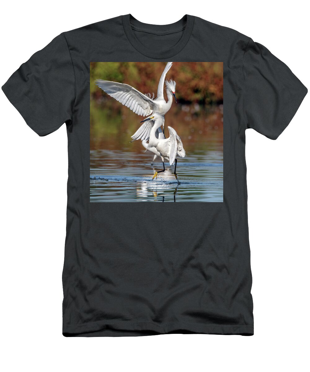 Snowy Egrets T-Shirt featuring the photograph Snowy Egrets Chase 6940-052721-2 by Tam Ryan