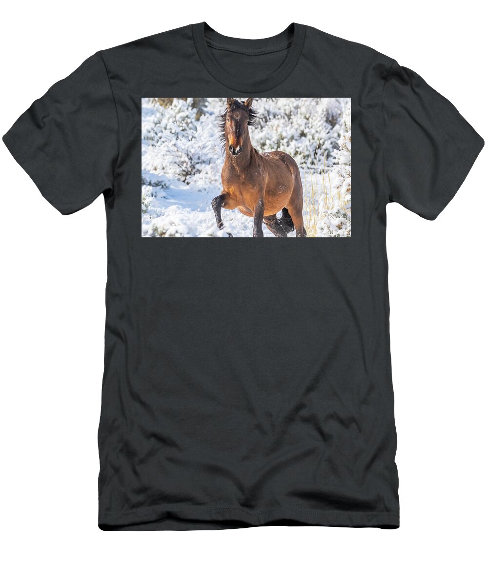 Nevada T-Shirt featuring the photograph Snowy Stallion Portrait by Marc Crumpler