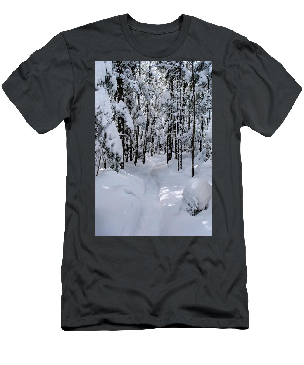 Snowy T-Shirt featuring the photograph Snowy Trails Winter by White Mountain Images