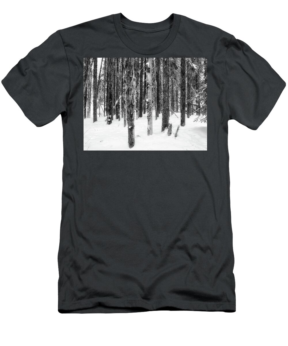 Black And White Photography T-Shirt featuring the photograph Snowy Trees Uniquely the Same by Allan Van Gasbeck