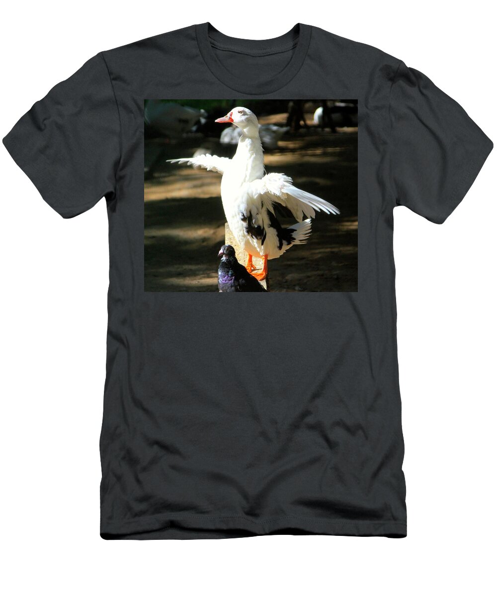  T-Shirt featuring the photograph Soaking up the Sun by Dorsey Northrup