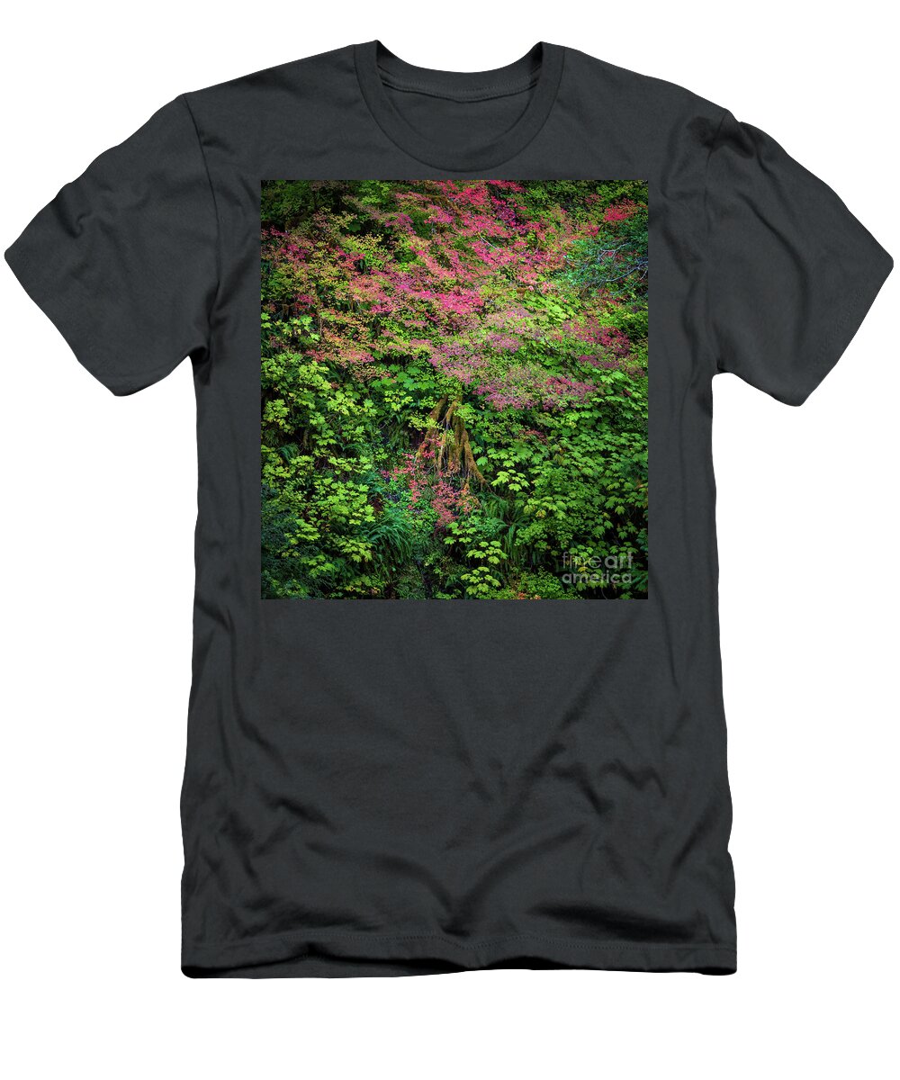 America T-Shirt featuring the photograph Sol Duc Forest by Inge Johnsson