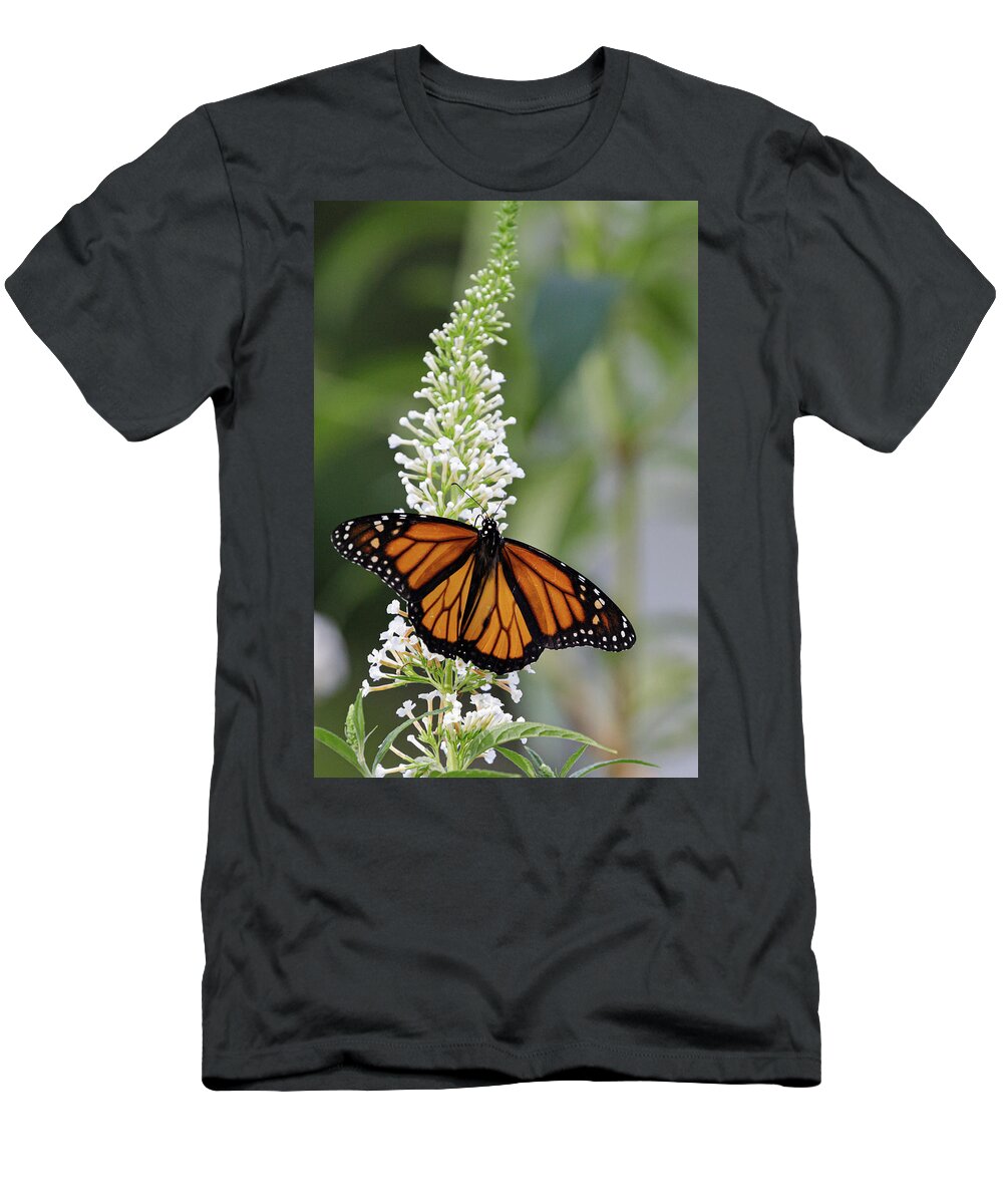 Monarch Butterfly T-Shirt featuring the photograph Solitary Monarch by Steve Templeton