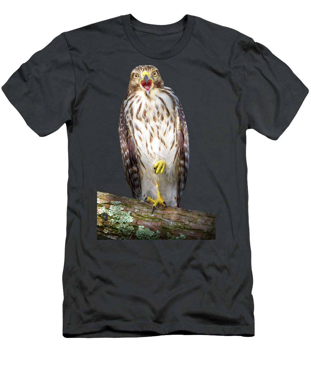 Red Shouldered Hawk T-Shirt featuring the photograph Song of the Hawk by Mark Andrew Thomas