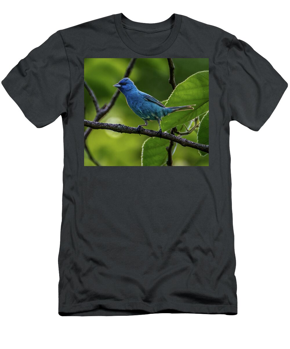 Avian T-Shirt featuring the photograph Song of the Indigo Bunting by Brian Shoemaker