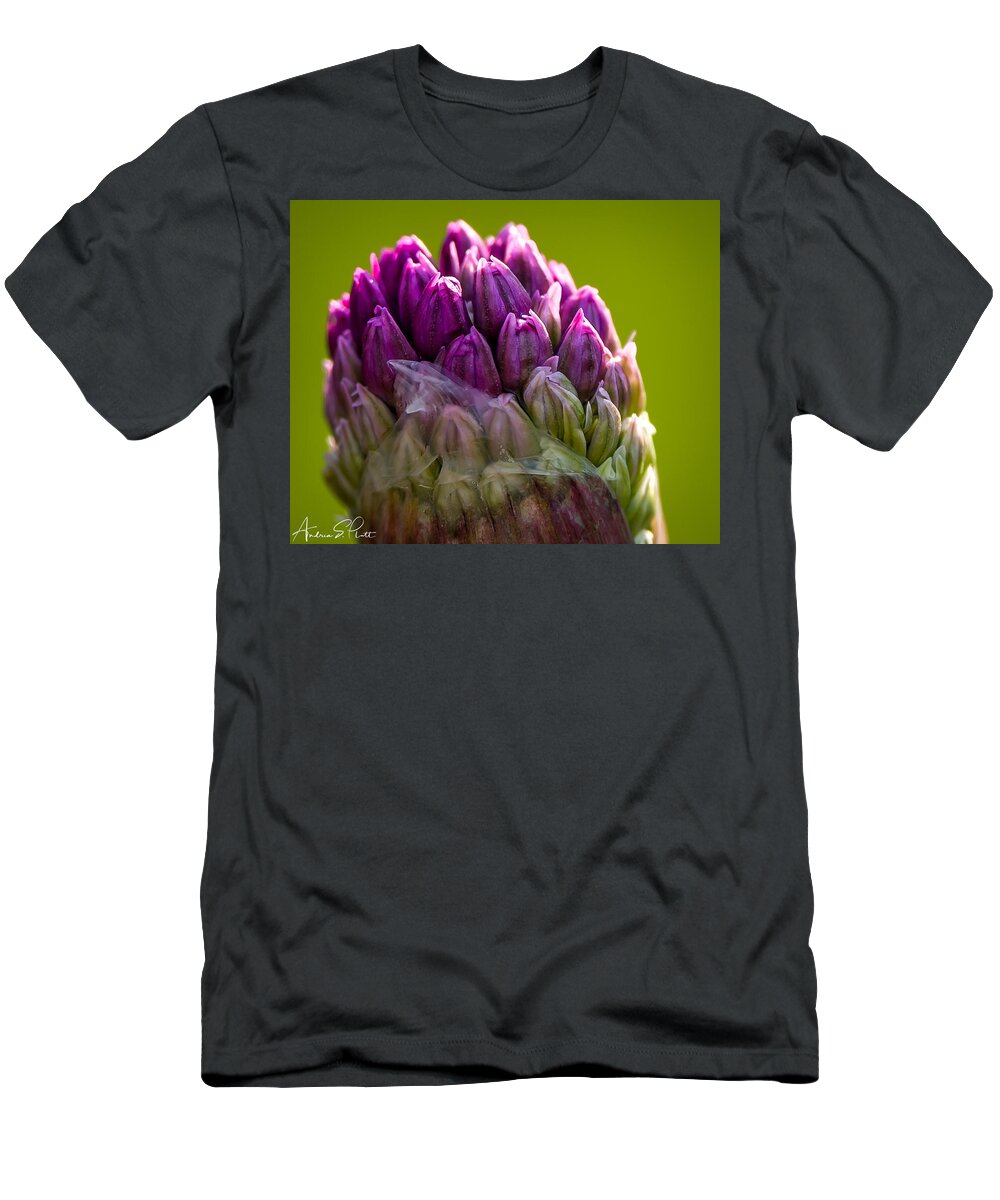 Globe Allium T-Shirt featuring the photograph Soon and Very Soon by Andrea Platt