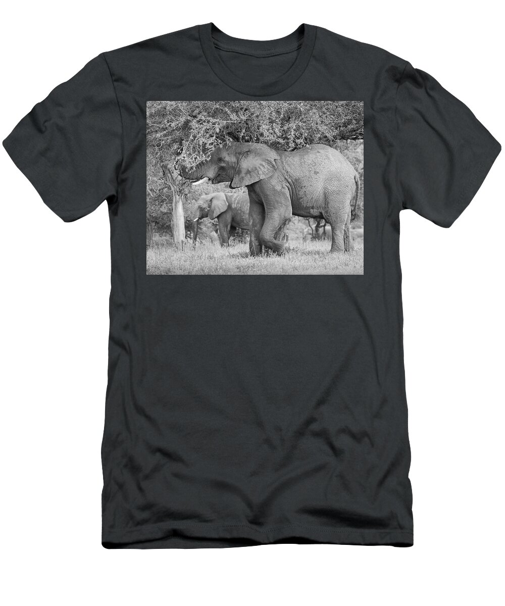 Elephant Coast T-Shirt featuring the photograph South African Bull Elephant by Maresa Pryor-Luzier