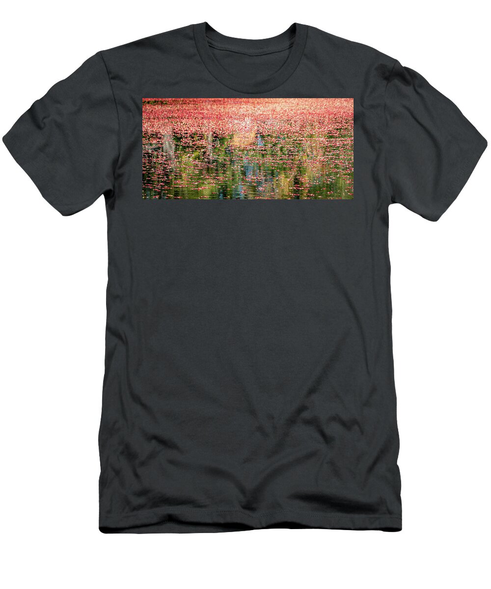 Cranberries T-Shirt featuring the photograph South Jersey Cranberry Bogs by GeeLeesa