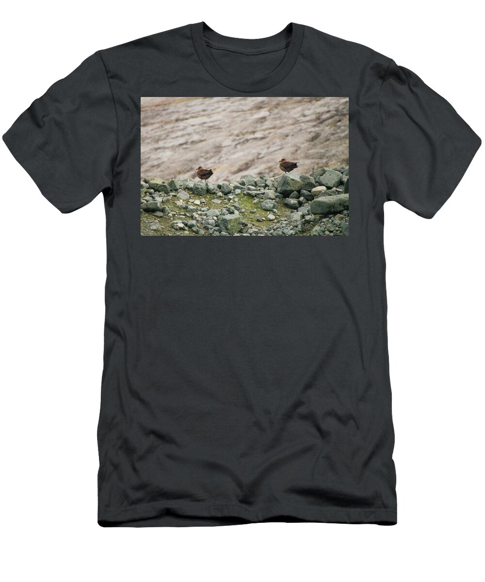 03feb20 T-Shirt featuring the photograph South Polar Skua Pair Perched by Jeff at JSJ Photography