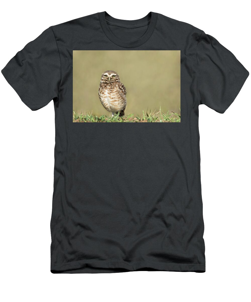 Amazon T-Shirt featuring the photograph Southern Burrowing Owl by Linda Villers