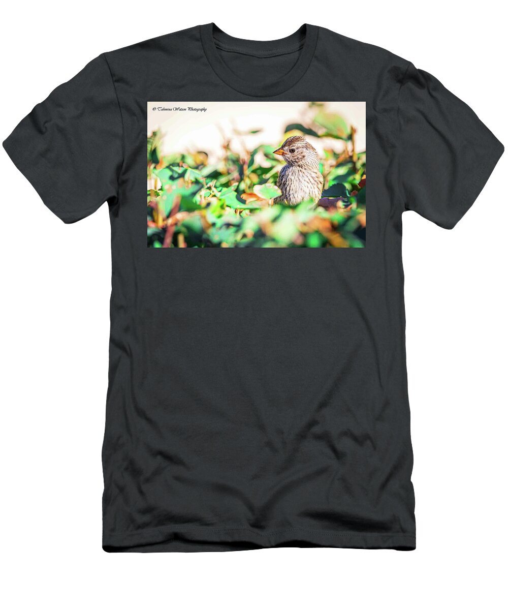 Bird T-Shirt featuring the photograph White crowned sparrow by Tahmina Watson