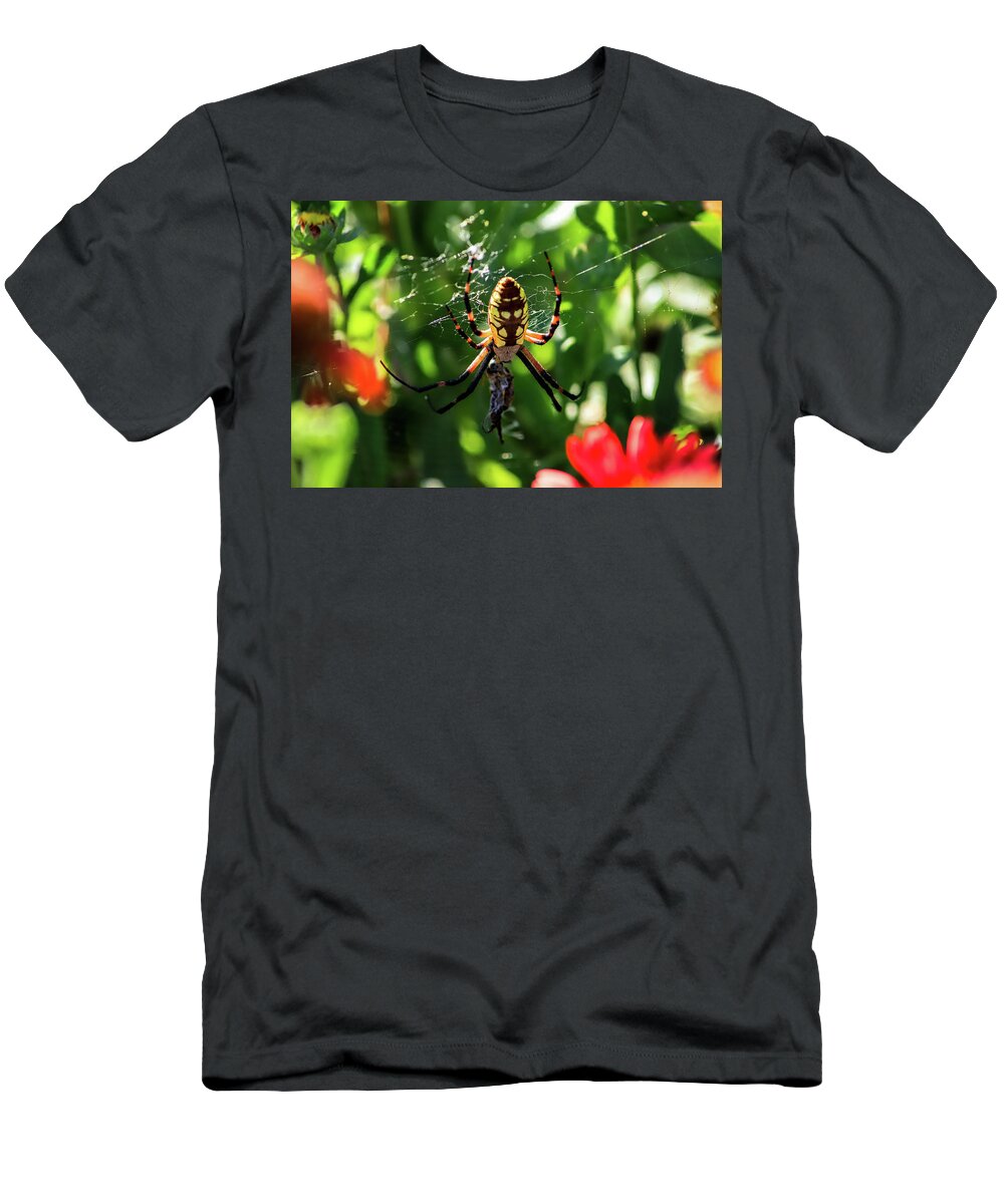 Insects T-Shirt featuring the photograph Spider Feast by Marcus Jones