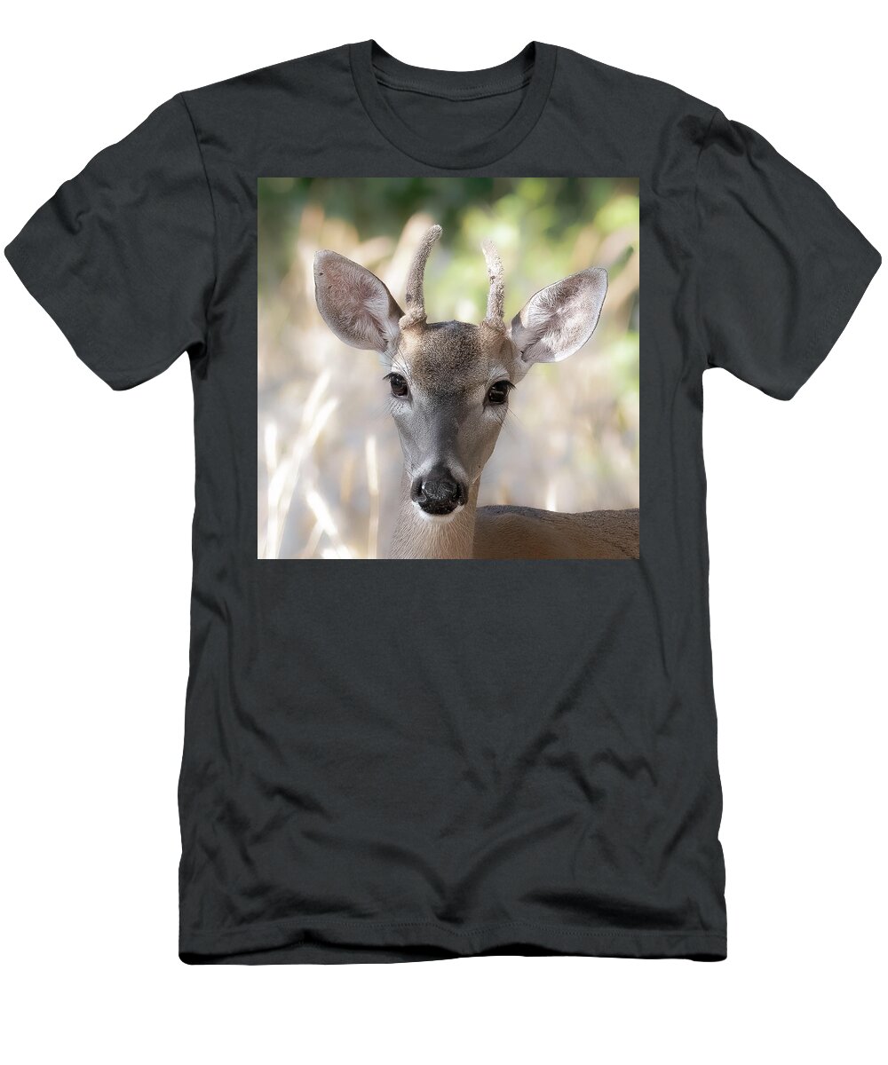 Deer T-Shirt featuring the photograph Spike Buck in Velvet by Cheri Freeman