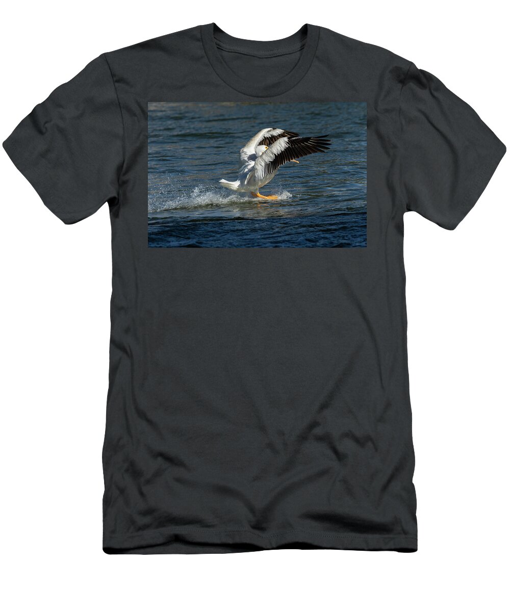 American White Pelican T-Shirt featuring the photograph Splash Down 2016 by Thomas Young