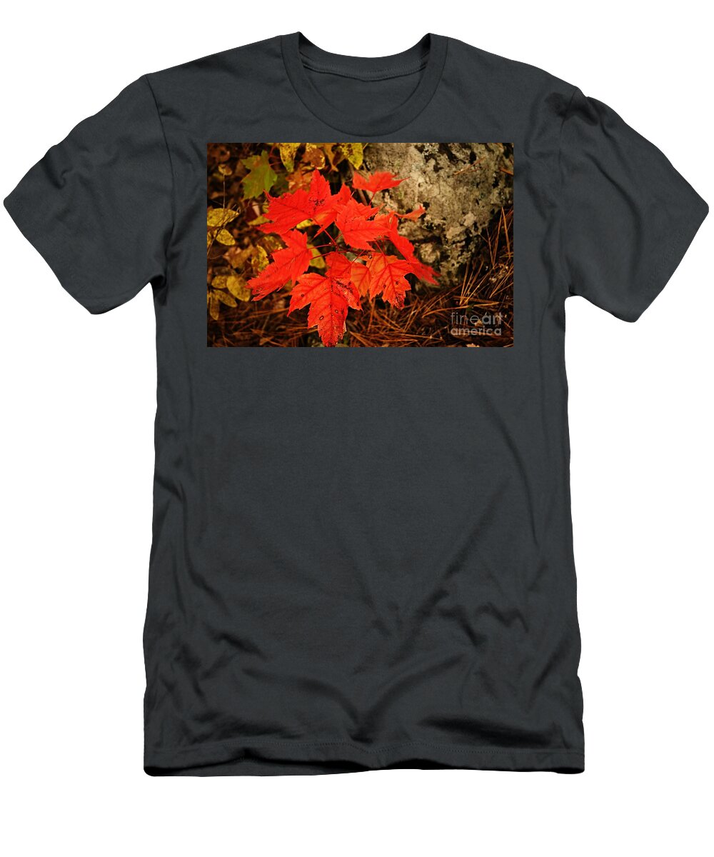 Landscape T-Shirt featuring the photograph Splash of Autumn by Larry Ricker
