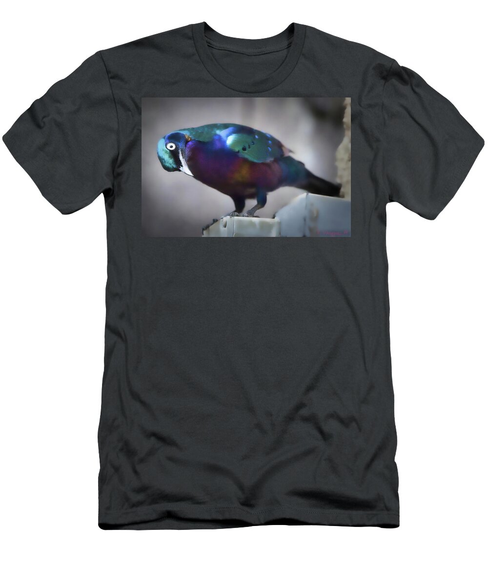 Bird T-Shirt featuring the photograph Splendid Starling by Rene Vasquez