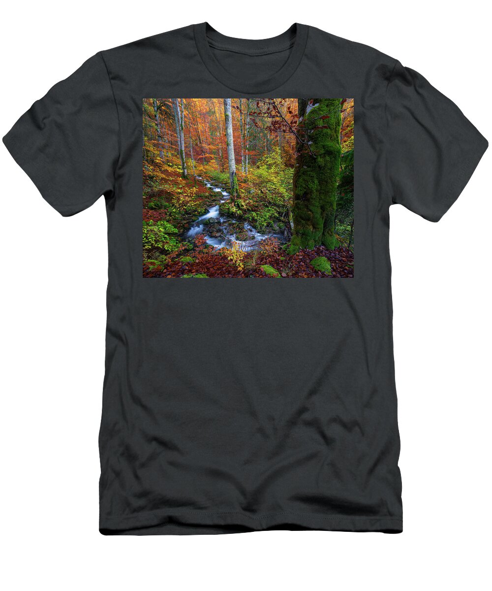 Composition T-Shirt featuring the photograph Splendid woodland by Cosmin Stan