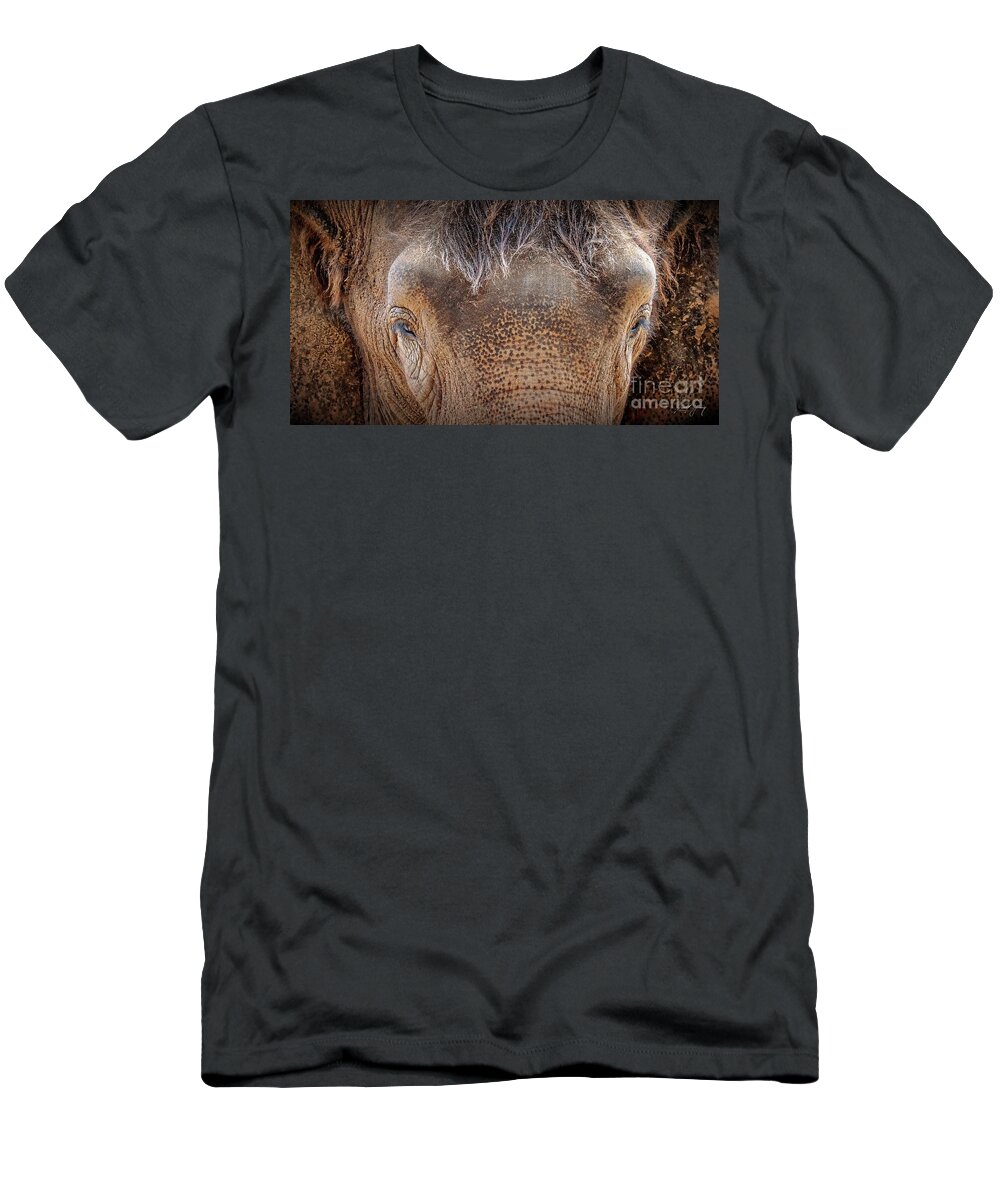 Elephant T-Shirt featuring the photograph Spotted Elephant by Larry Young