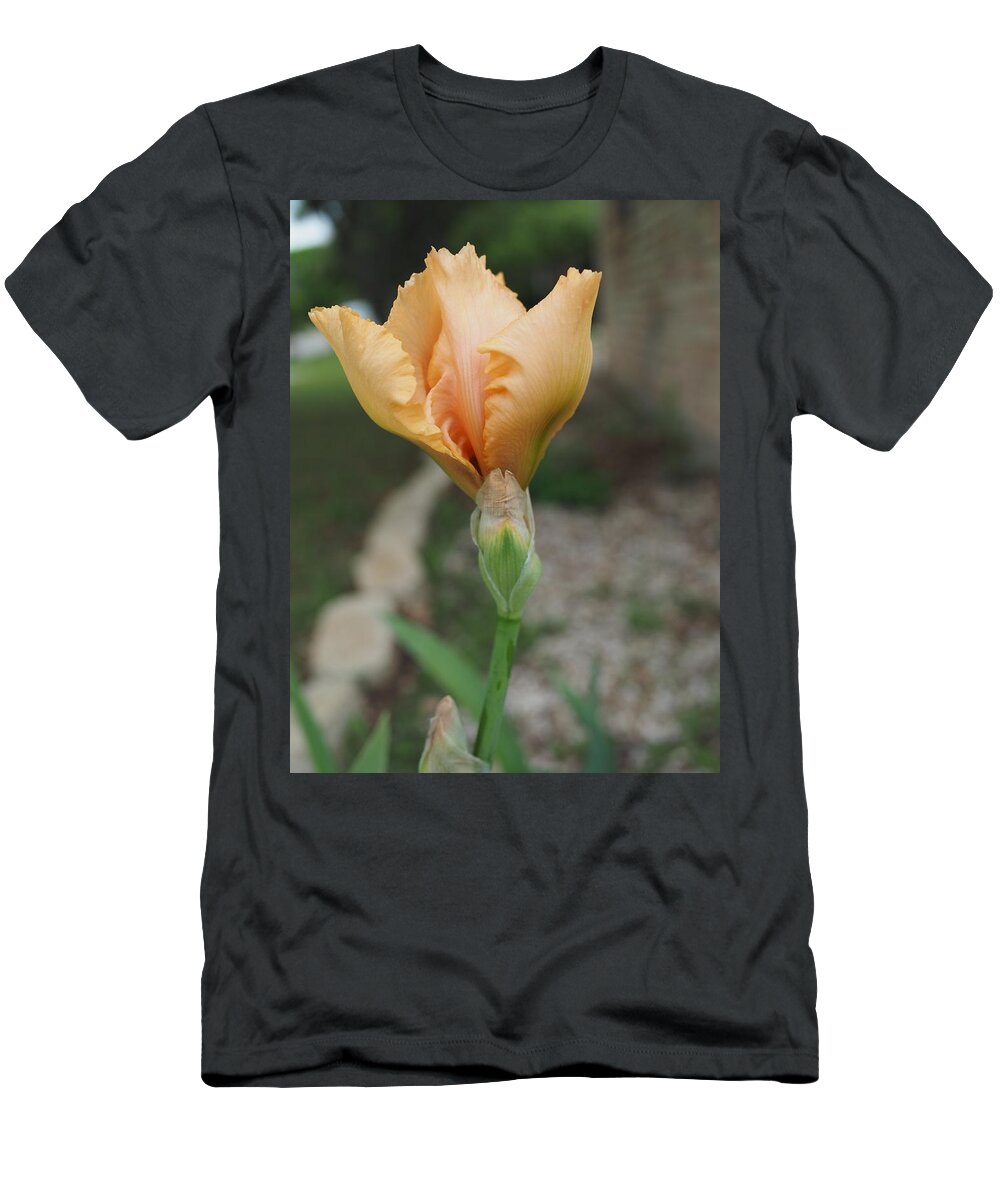 Orange T-Shirt featuring the photograph Spring Bloom 11 by C Winslow Shafer