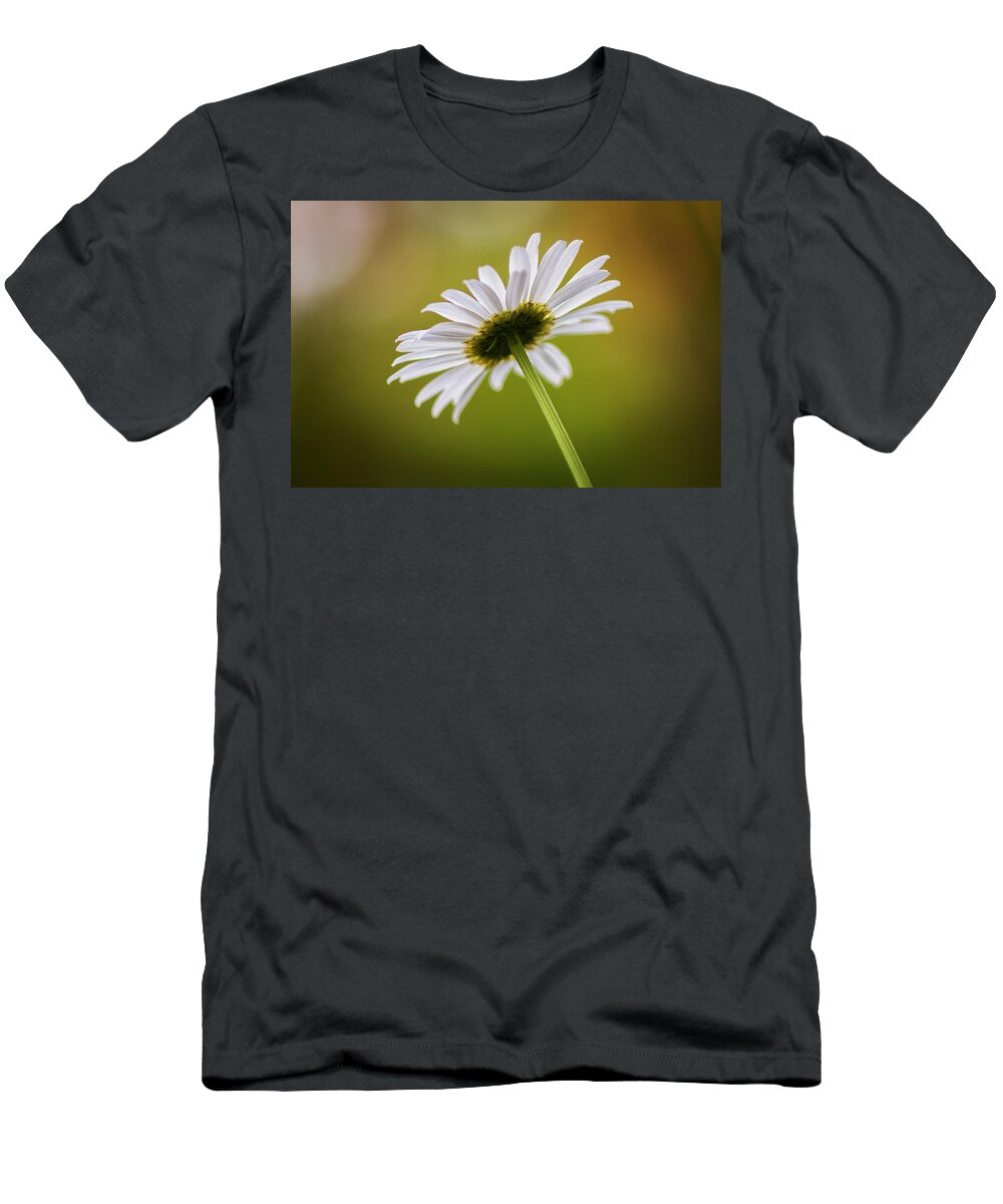 Daisy T-Shirt featuring the photograph Spring Daisy by Bob Decker
