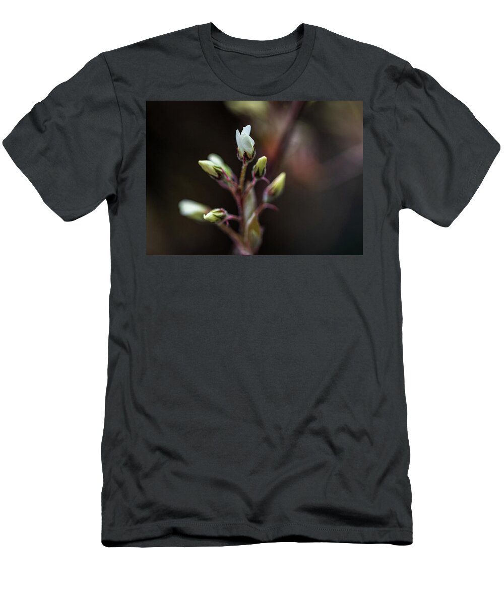 Plant T-Shirt featuring the photograph Spring Flowers Buds - White by Amelia Pearn