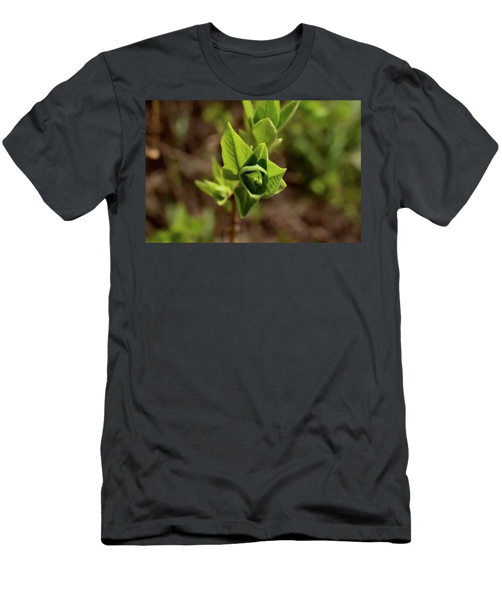 Spring T-Shirt featuring the photograph Spring foliage. by Sergei Fomichev