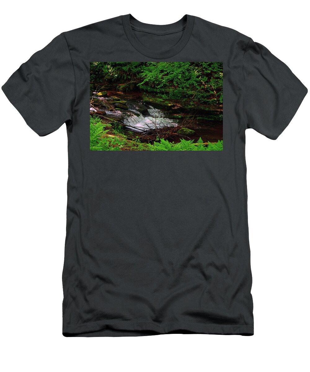 Spring Green Ferns With Dunnfield Creek T-Shirt featuring the photograph Spring Green Ferns With Dunnfield Creek by Raymond Salani III