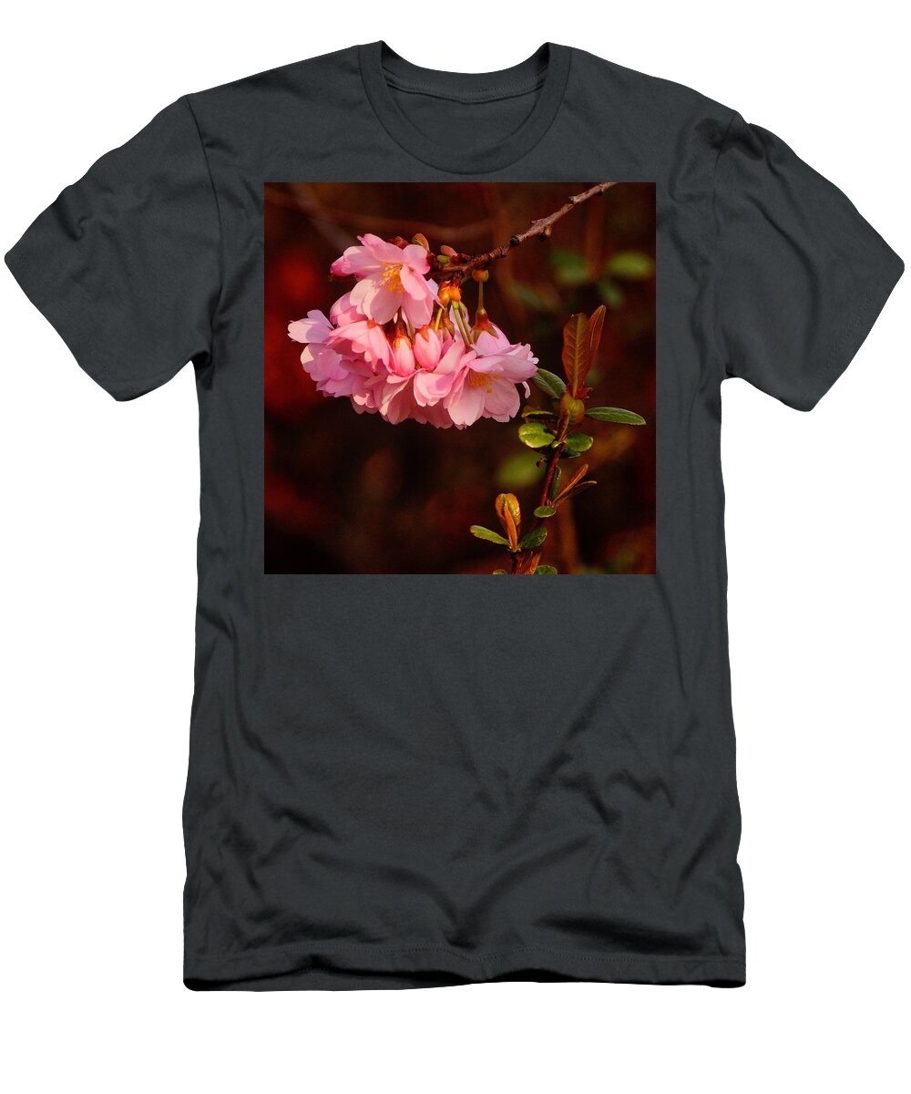 Spring T-Shirt featuring the photograph Spring has Sprung by Richard Cummings