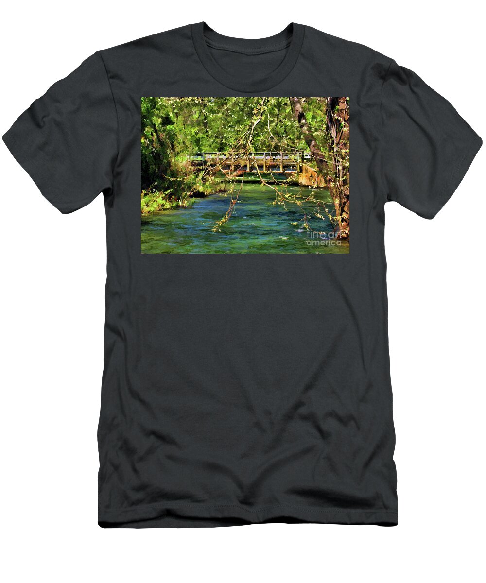 Spring T-Shirt featuring the photograph Spring in the North Carolina Mountains by Roberta Byram