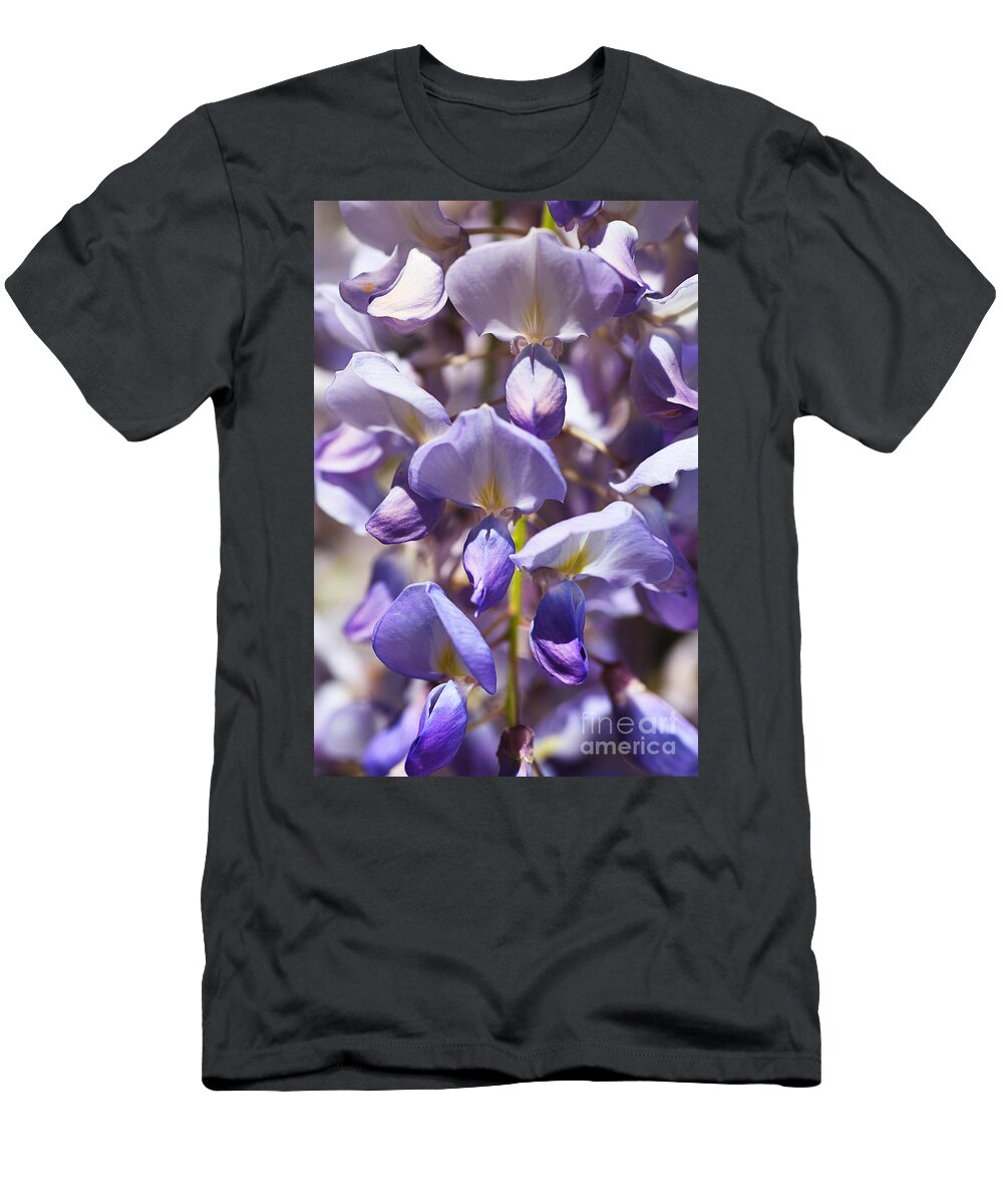 Acanthaceae T-Shirt featuring the photograph Spring Magical Wisteria by Joy Watson