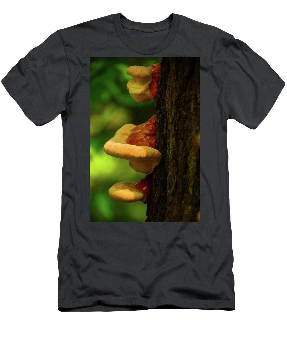 Spring Mushrooms T-Shirt featuring the photograph Spring Mushrooms by Raymond Salani III