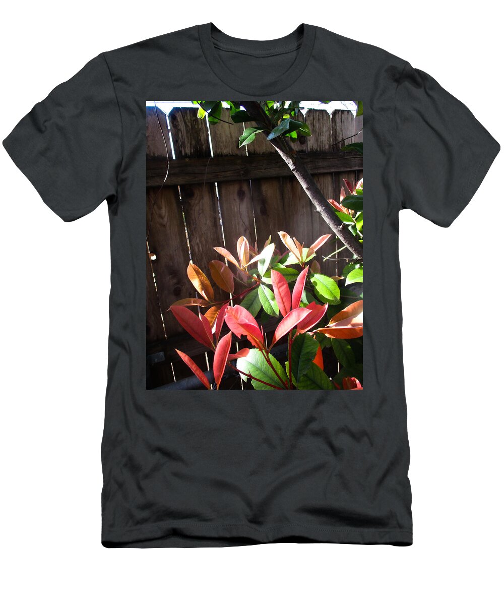 Photinia T-Shirt featuring the photograph Spring Photinia in the Sun by W Craig Photography