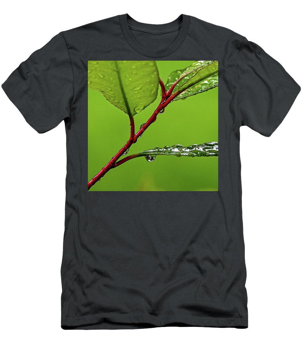 Spring T-Shirt featuring the photograph Spring Rain by Kevin Suttlehan