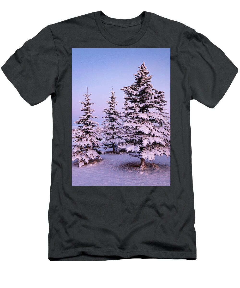 Dawn T-Shirt featuring the photograph Spruce trees on a winter dawn by Phil And Karen Rispin