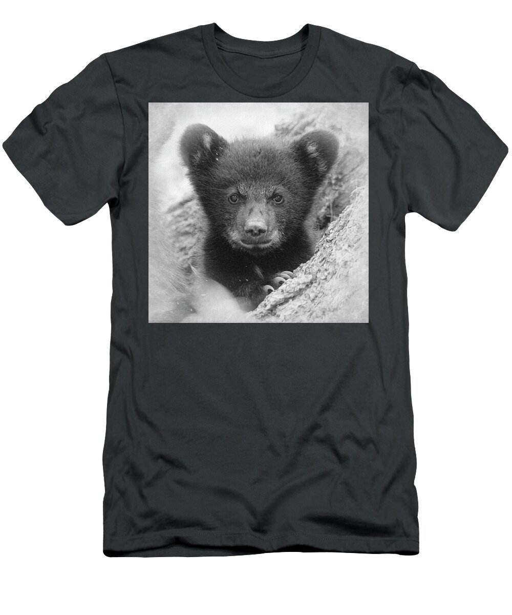 Bear T-Shirt featuring the photograph Square Bear by Everet Regal